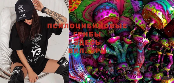 мяу мяу мука Надым