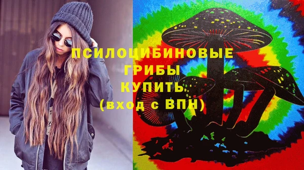 мяу мяу мука Надым