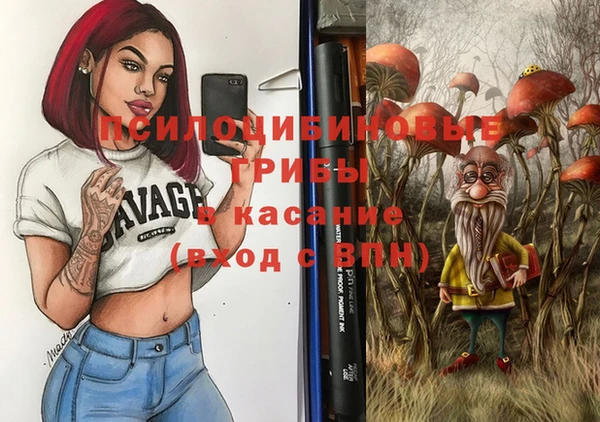 мяу мяу мука Надым