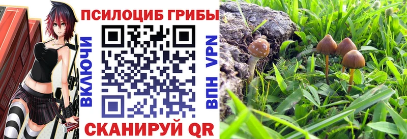 Псилоцибиновые грибы мухоморы  Купить  Радужный 